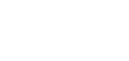 nrf big show logo white